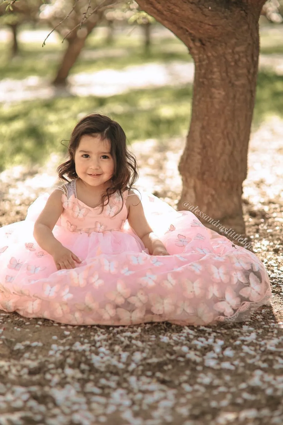 Blush Butterfly Couture Gown